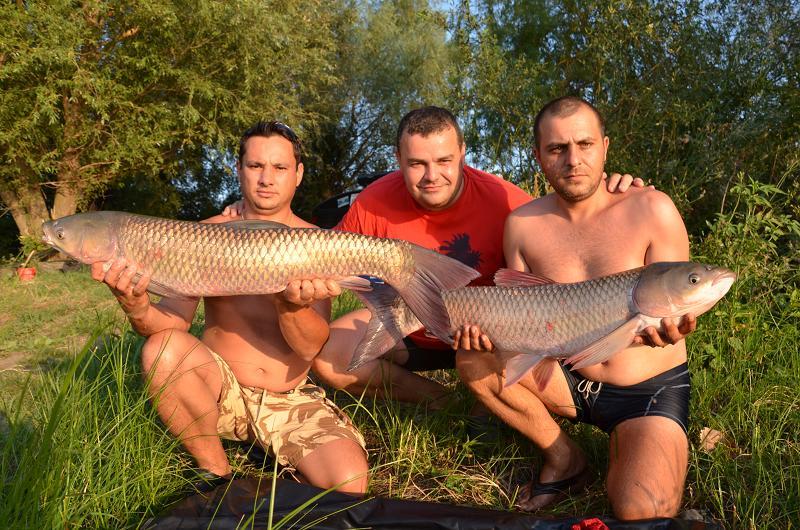 EU VARA NU DORM! DAU LA TEN!